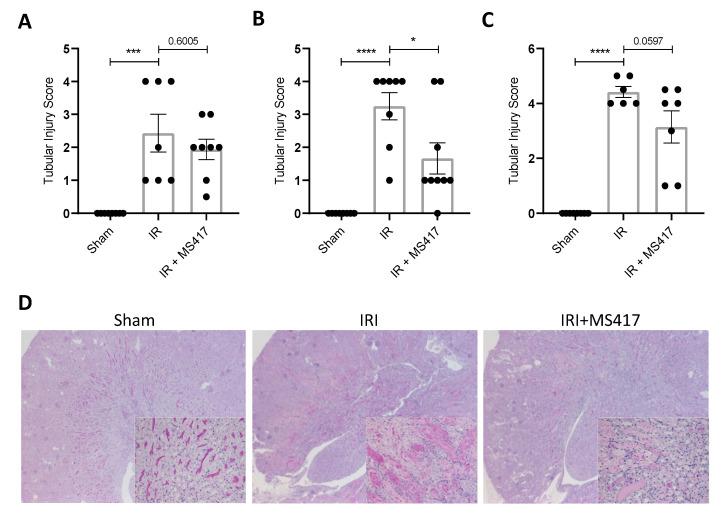 https://cdn.ncbi.nlm.nih.gov/pmc/blobs/38b7/7767067/cc8888c7b3ed/ijms-21-09620-g010.jpg