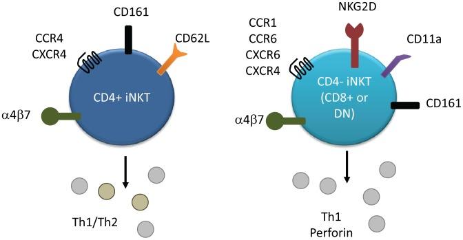 https://cdn.ncbi.nlm.nih.gov/pmc/blobs/38b9/3420949/5e95e471f729/ppat.1002838.g001.jpg
