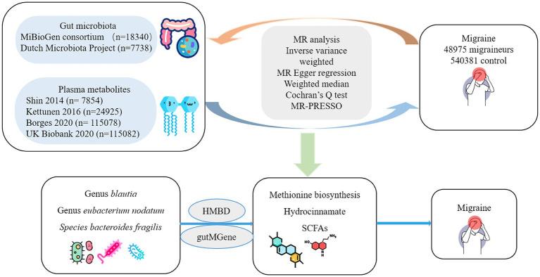https://cdn.ncbi.nlm.nih.gov/pmc/blobs/38bc/11058981/a6e79e64be45/fmicb-15-1325047-g001.jpg