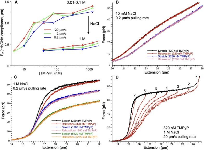 https://cdn.ncbi.nlm.nih.gov/pmc/blobs/38be/11317170/2b4f9377fcb5/gkae560fig6.jpg