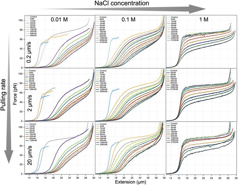 https://cdn.ncbi.nlm.nih.gov/pmc/blobs/38be/11317170/6b8299318821/gkae560fig2.jpg