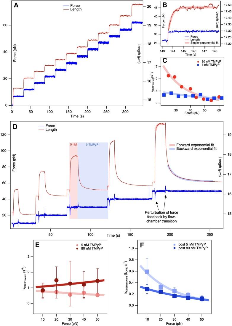 https://cdn.ncbi.nlm.nih.gov/pmc/blobs/38be/11317170/7741d0a45db8/gkae560fig9.jpg