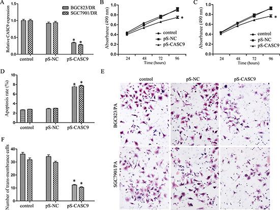 https://cdn.ncbi.nlm.nih.gov/pmc/blobs/38c1/5362493/6a6d4b2c9ced/oncotarget-08-15393-g002.jpg