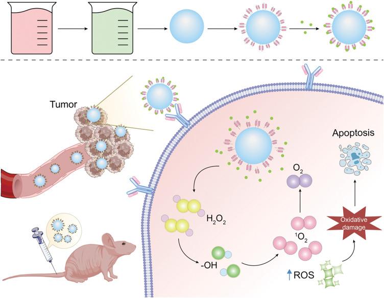 https://cdn.ncbi.nlm.nih.gov/pmc/blobs/38c3/12144630/5e0ab01b1bcf/OncolRes-33-59290-f016.jpg