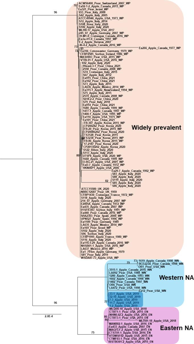 https://cdn.ncbi.nlm.nih.gov/pmc/blobs/38c6/12365104/707e8c32de33/41598_2025_15530_Fig4_HTML.jpg