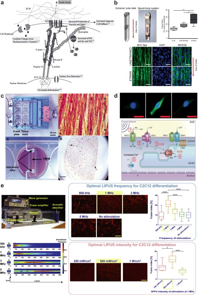 https://cdn.ncbi.nlm.nih.gov/pmc/blobs/38c6/8991236/168e2094dc9c/41536_2022_216_Fig3_HTML.jpg
