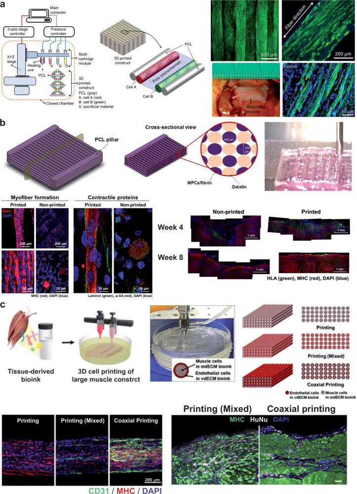 https://cdn.ncbi.nlm.nih.gov/pmc/blobs/38c6/8991236/90539171adb6/41536_2022_216_Fig5_HTML.jpg