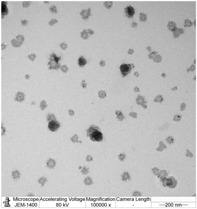 https://cdn.ncbi.nlm.nih.gov/pmc/blobs/38c7/11024192/d768ef35f90f/41598_2024_59617_Fig3_HTML.jpg