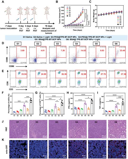 https://cdn.ncbi.nlm.nih.gov/pmc/blobs/38c7/11884554/04682f36f3e9/ADVS-12-2410405-g008.jpg