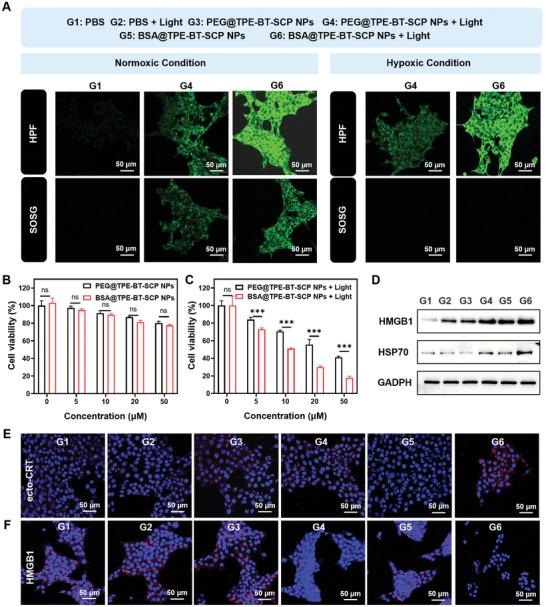 https://cdn.ncbi.nlm.nih.gov/pmc/blobs/38c7/11884554/333090f7e039/ADVS-12-2410405-g002.jpg