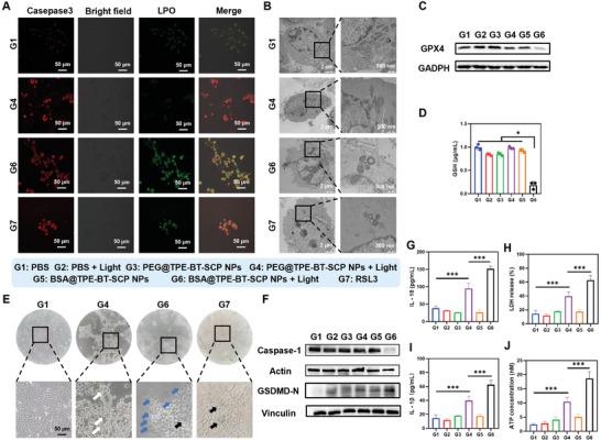 https://cdn.ncbi.nlm.nih.gov/pmc/blobs/38c7/11884554/38aa8f58f866/ADVS-12-2410405-g009.jpg