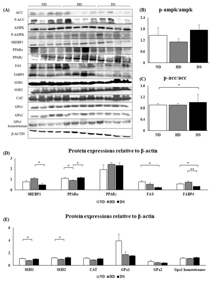 https://cdn.ncbi.nlm.nih.gov/pmc/blobs/38c8/11120292/1c3b3f4d1905/foods-13-01471-g006.jpg