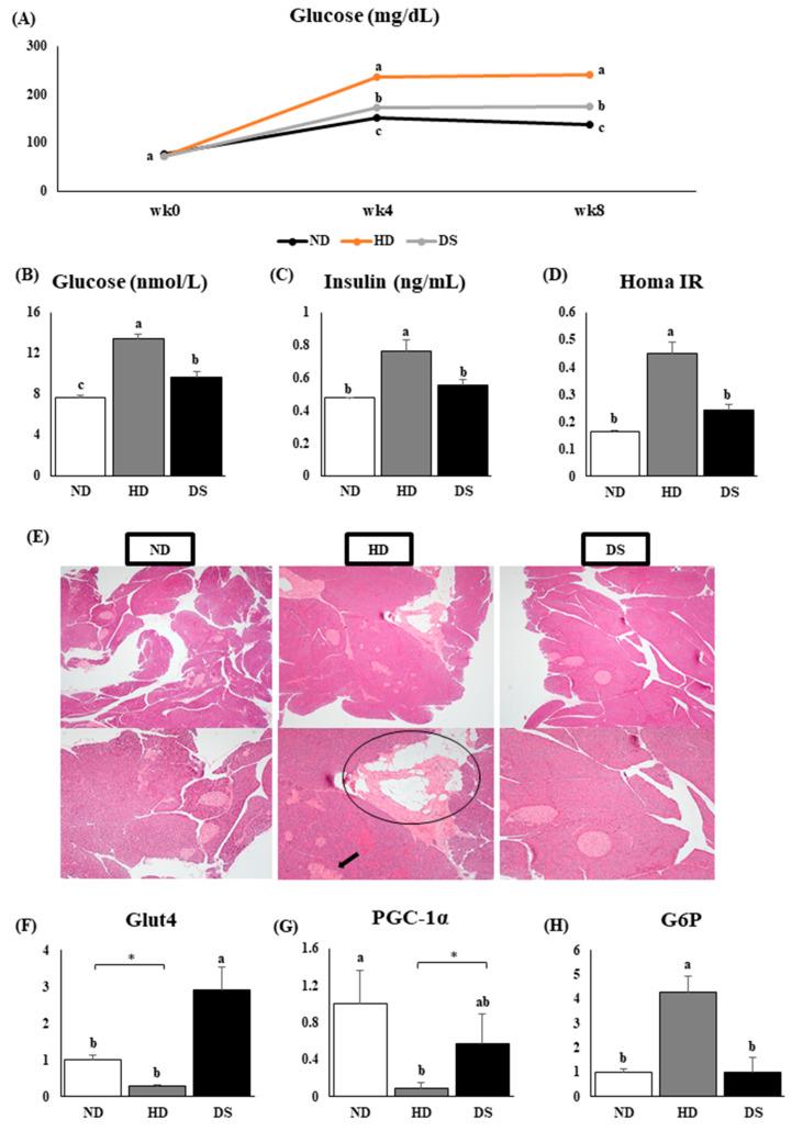 https://cdn.ncbi.nlm.nih.gov/pmc/blobs/38c8/11120292/f8dd0e2bfc94/foods-13-01471-g003.jpg
