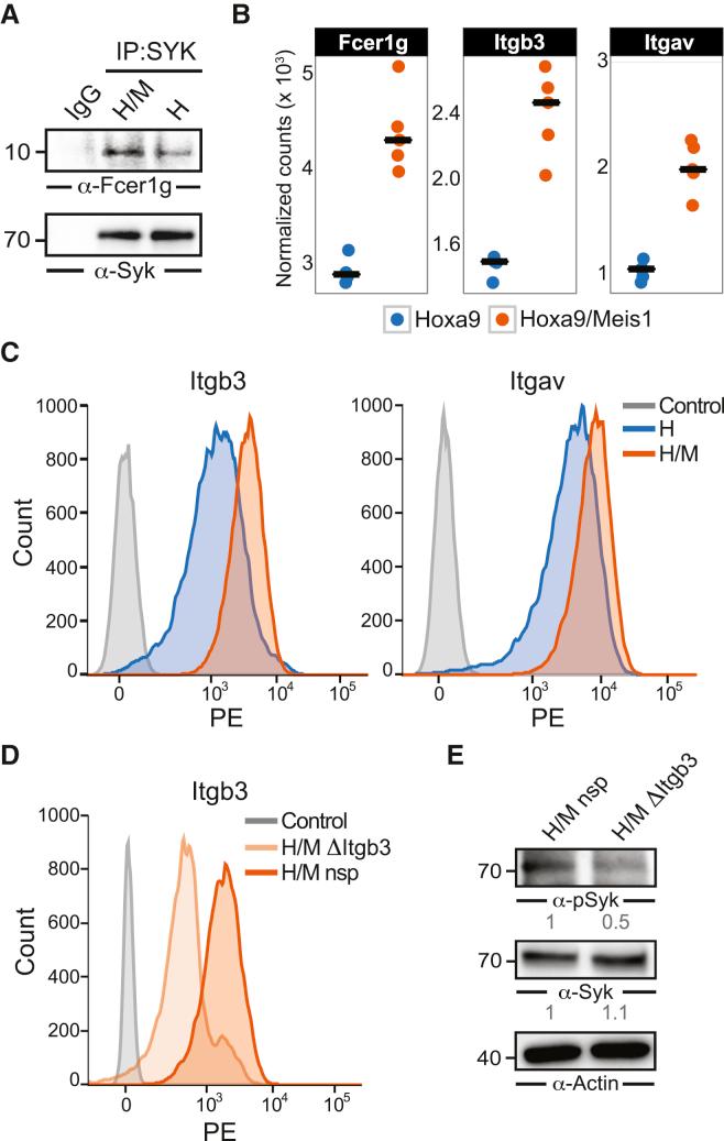 https://cdn.ncbi.nlm.nih.gov/pmc/blobs/38c8/5389883/b9958cc4988a/gr3.jpg
