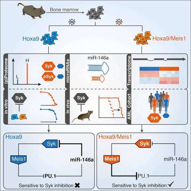 https://cdn.ncbi.nlm.nih.gov/pmc/blobs/38c8/5389883/c66d3e8531f3/fx1.jpg