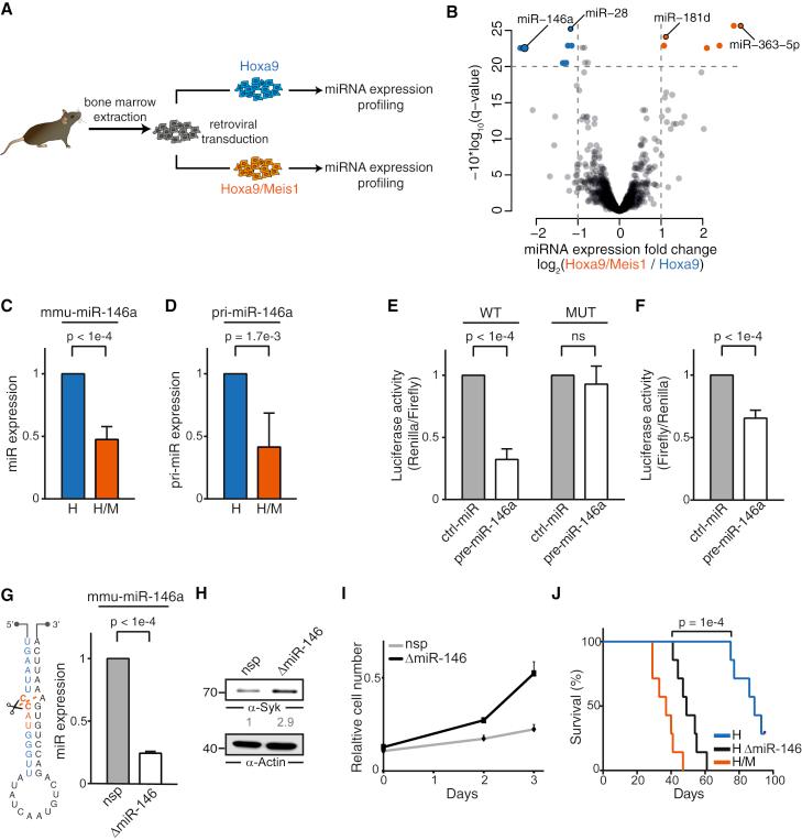 https://cdn.ncbi.nlm.nih.gov/pmc/blobs/38c8/5389883/d9d65c8522dc/gr4.jpg