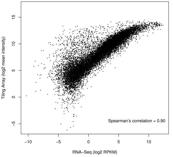 https://cdn.ncbi.nlm.nih.gov/pmc/blobs/38c9/3091629/c8c0454b8f6a/1471-2164-11-383-1.jpg