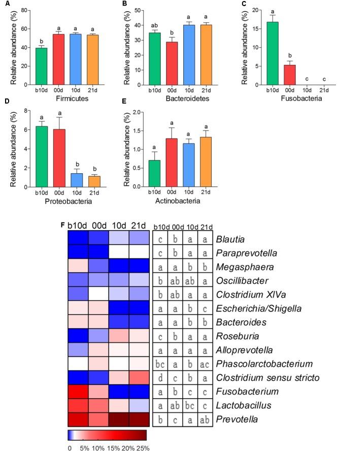 https://cdn.ncbi.nlm.nih.gov/pmc/blobs/38c9/5591375/8abb279f34cb/fmicb-08-01688-g002.jpg