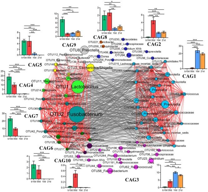 https://cdn.ncbi.nlm.nih.gov/pmc/blobs/38c9/5591375/b9bf7dea13e4/fmicb-08-01688-g007.jpg