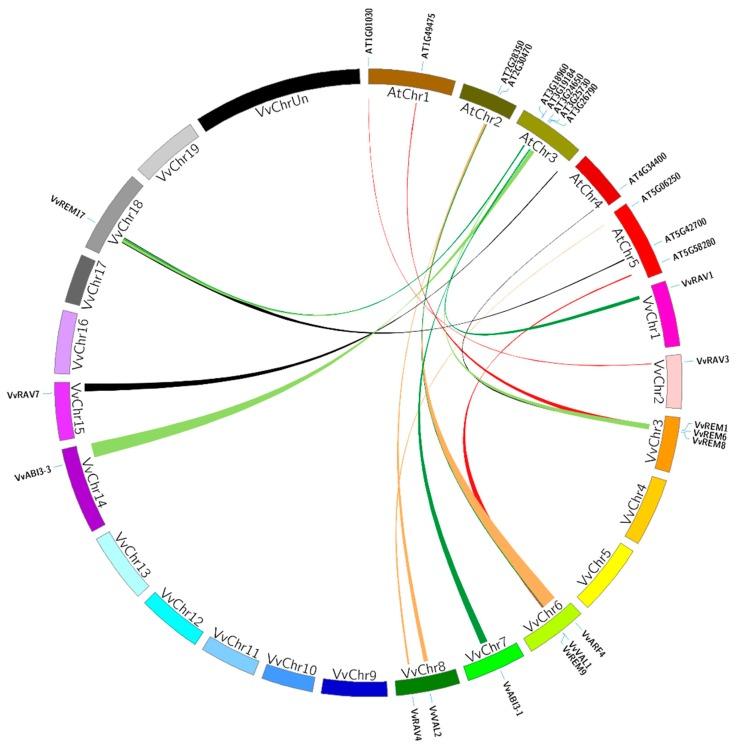 https://cdn.ncbi.nlm.nih.gov/pmc/blobs/38c9/6770561/7b4598e2eaaf/ijms-20-04553-g004.jpg