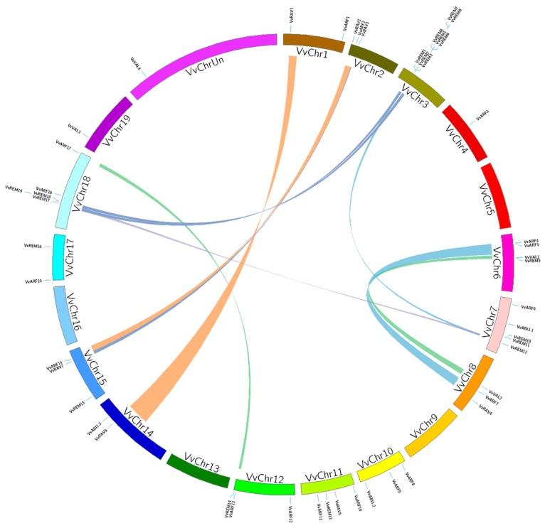https://cdn.ncbi.nlm.nih.gov/pmc/blobs/38c9/6770561/c7d1e40eaaab/ijms-20-04553-g003.jpg
