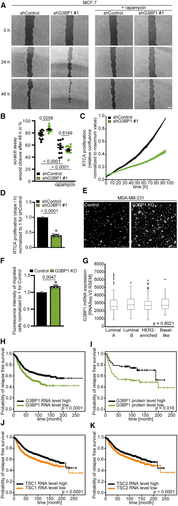 https://cdn.ncbi.nlm.nih.gov/pmc/blobs/38cd/7868890/3169aa6eb6df/gr6.jpg