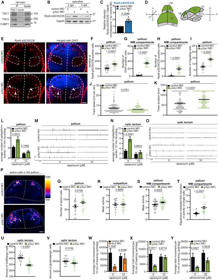 https://cdn.ncbi.nlm.nih.gov/pmc/blobs/38cd/7868890/355ebc5a6761/gr7.jpg
