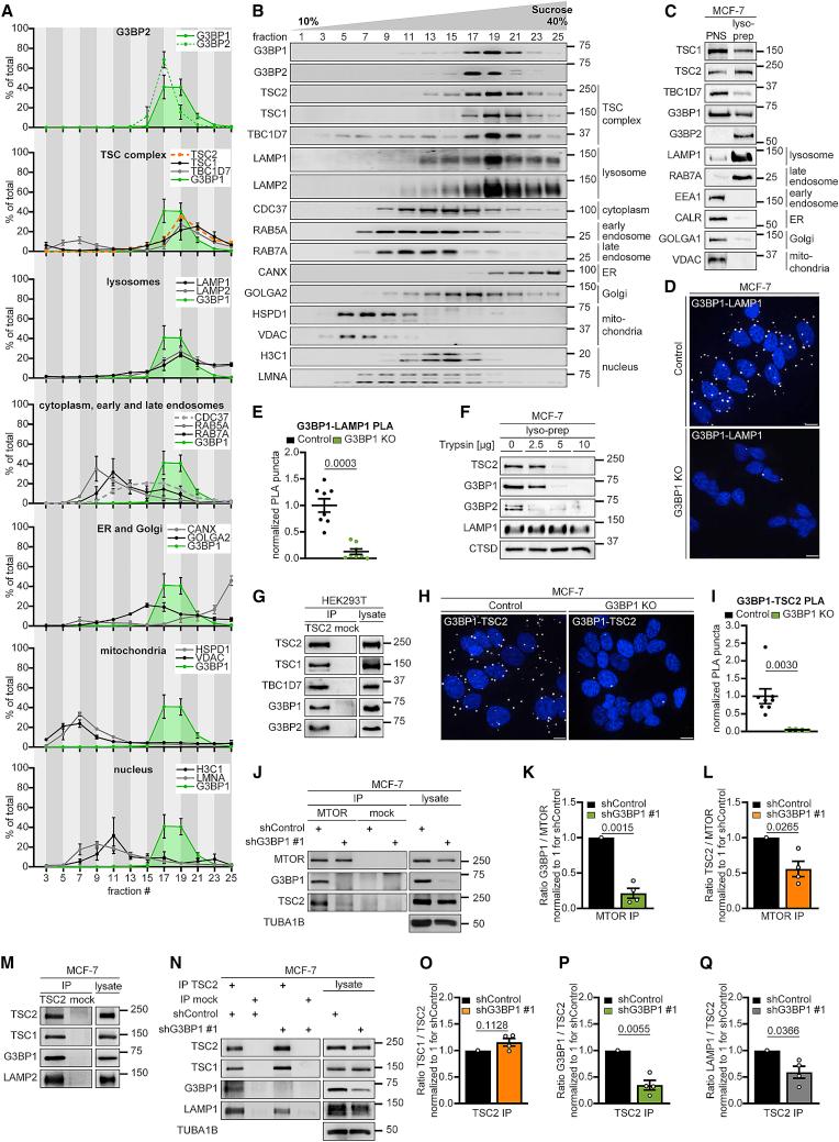 https://cdn.ncbi.nlm.nih.gov/pmc/blobs/38cd/7868890/45fadbebb4ce/gr3.jpg