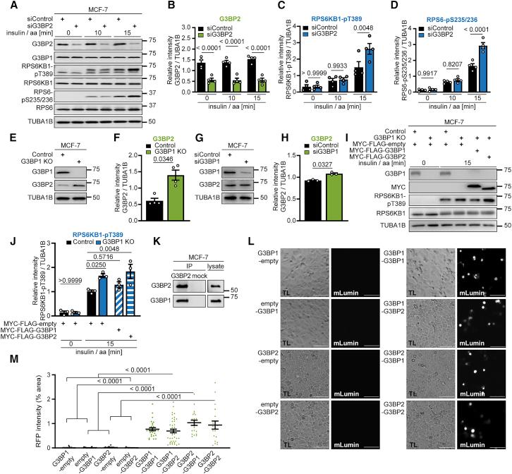 https://cdn.ncbi.nlm.nih.gov/pmc/blobs/38cd/7868890/78d73c517a6b/gr2.jpg