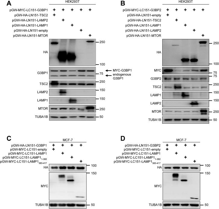 https://cdn.ncbi.nlm.nih.gov/pmc/blobs/38cd/7868890/81fce9aa43a5/figs5.jpg