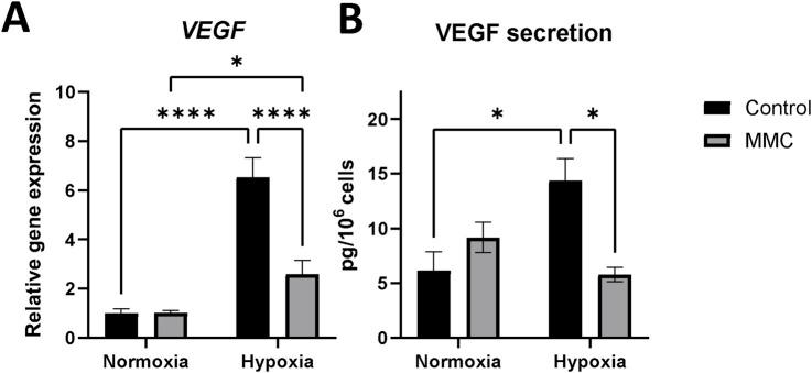 https://cdn.ncbi.nlm.nih.gov/pmc/blobs/38ce/12202450/09ea629b8976/fcell-13-1575134-g004.jpg