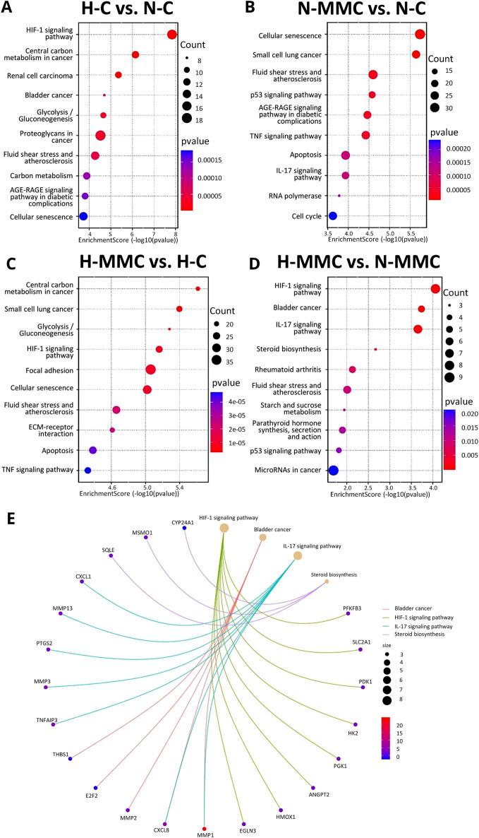 https://cdn.ncbi.nlm.nih.gov/pmc/blobs/38ce/12202450/848fecfdb591/fcell-13-1575134-g003.jpg