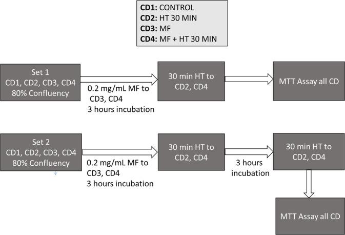 https://cdn.ncbi.nlm.nih.gov/pmc/blobs/38cf/10014775/b3b00de101e5/10856_2023_6715_Fig2_HTML.jpg