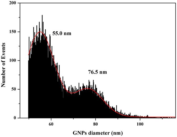 https://cdn.ncbi.nlm.nih.gov/pmc/blobs/38d0/5462741/309d927bd729/41598_2017_3275_Fig4_HTML.jpg
