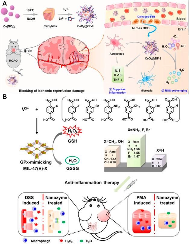 https://cdn.ncbi.nlm.nih.gov/pmc/blobs/38d0/8724581/3c98114097d8/fmolb-08-805228-g006.jpg