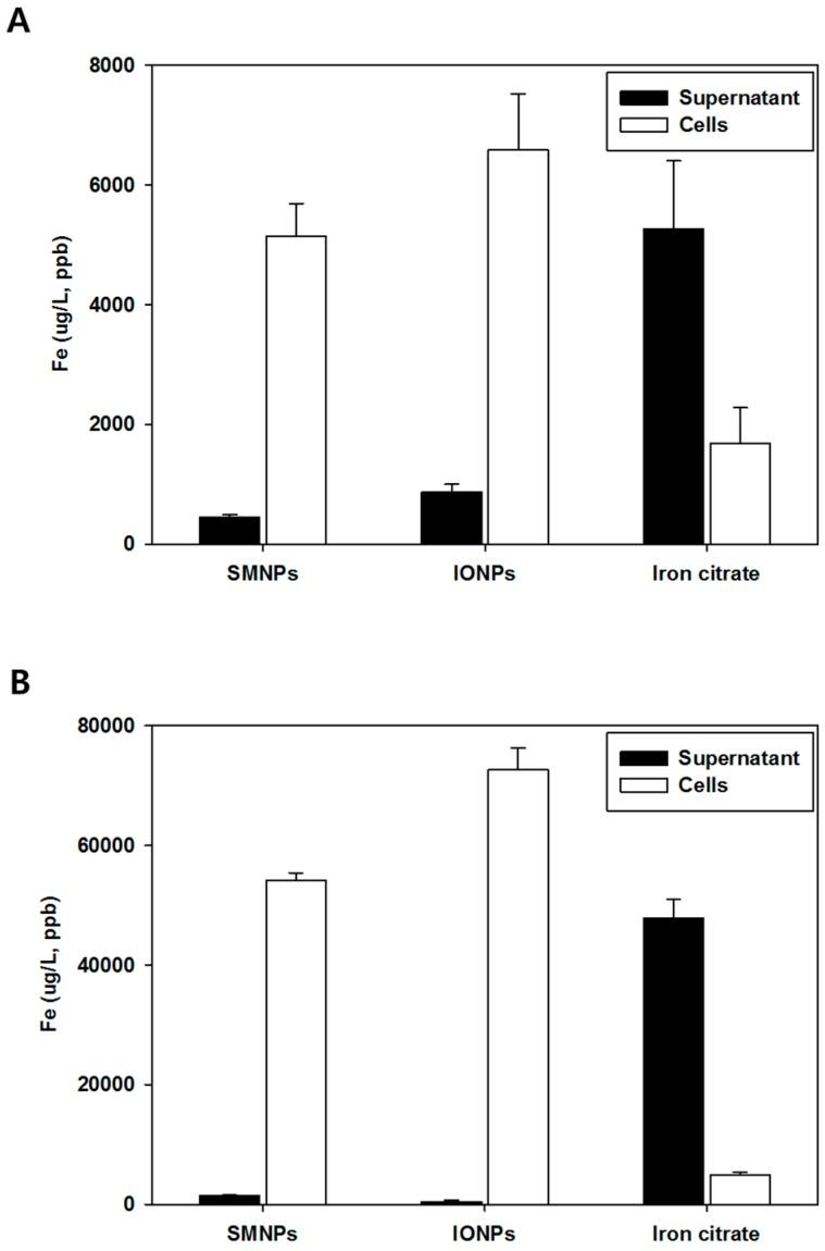 https://cdn.ncbi.nlm.nih.gov/pmc/blobs/38d1/4613306/6fc719c6d156/ijms-16-22243-g003.jpg