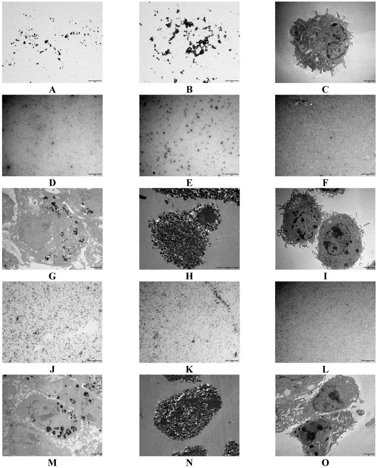 https://cdn.ncbi.nlm.nih.gov/pmc/blobs/38d1/4613306/e4ed186bc1b5/ijms-16-22243-g004.jpg