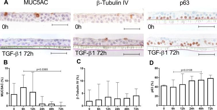 https://cdn.ncbi.nlm.nih.gov/pmc/blobs/38d2/6884487/3c907601523d/41598_2019_54292_Fig6_HTML.jpg