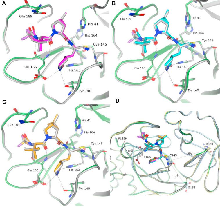 https://cdn.ncbi.nlm.nih.gov/pmc/blobs/38d3/9144014/051f673712f1/gr2.jpg