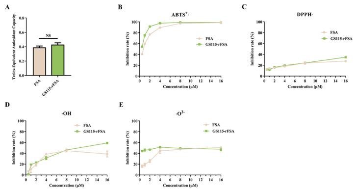 https://cdn.ncbi.nlm.nih.gov/pmc/blobs/38d5/11641682/b75dd5510434/ijms-25-13095-g004.jpg