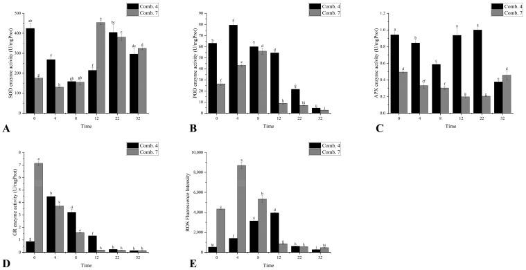 https://cdn.ncbi.nlm.nih.gov/pmc/blobs/38d5/12349247/6f028b0c0016/plants-14-02432-g002.jpg