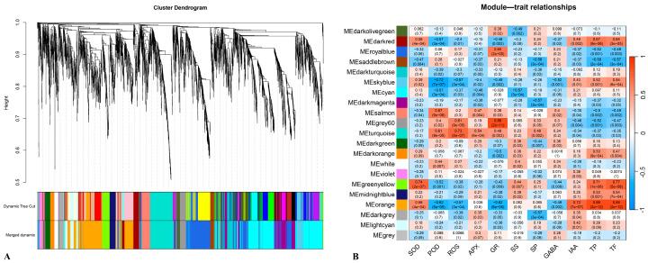 https://cdn.ncbi.nlm.nih.gov/pmc/blobs/38d5/12349247/f29af14c99cc/plants-14-02432-g006.jpg