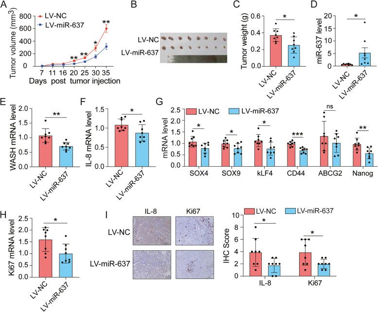 https://cdn.ncbi.nlm.nih.gov/pmc/blobs/38d5/9635169/3cd4fc358253/40364_2022_424_Fig4_HTML.jpg
