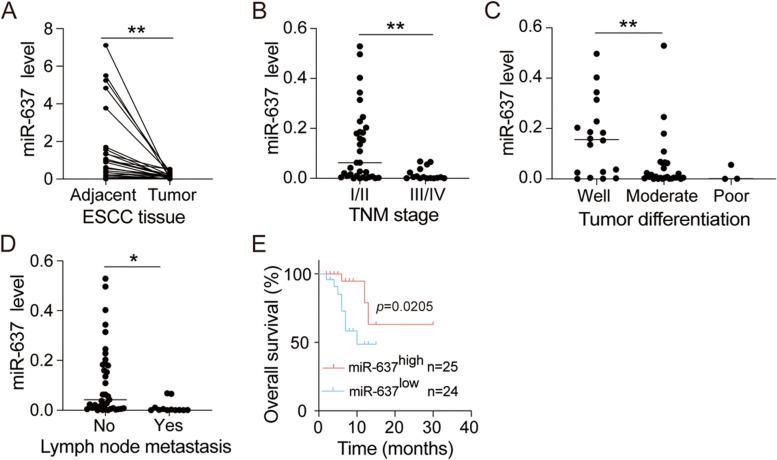 https://cdn.ncbi.nlm.nih.gov/pmc/blobs/38d5/9635169/aa6d0b06f910/40364_2022_424_Fig5_HTML.jpg