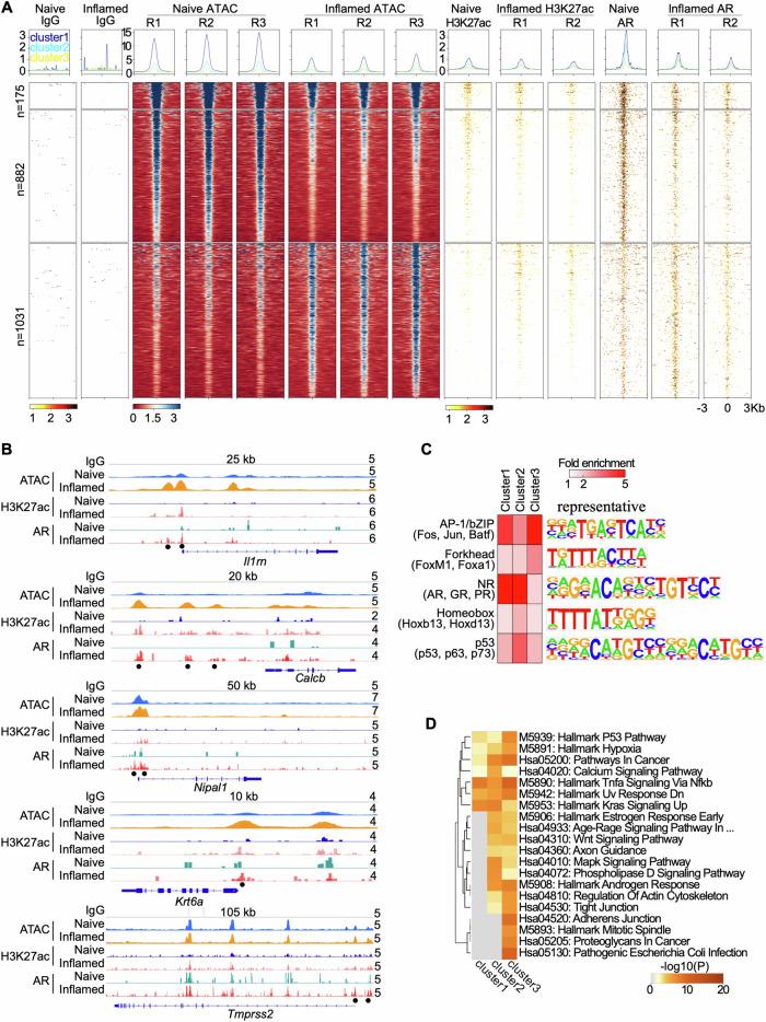 https://cdn.ncbi.nlm.nih.gov/pmc/blobs/38d7/11511867/2af49e5d9d44/42003_2024_7071_Fig4_HTML.jpg