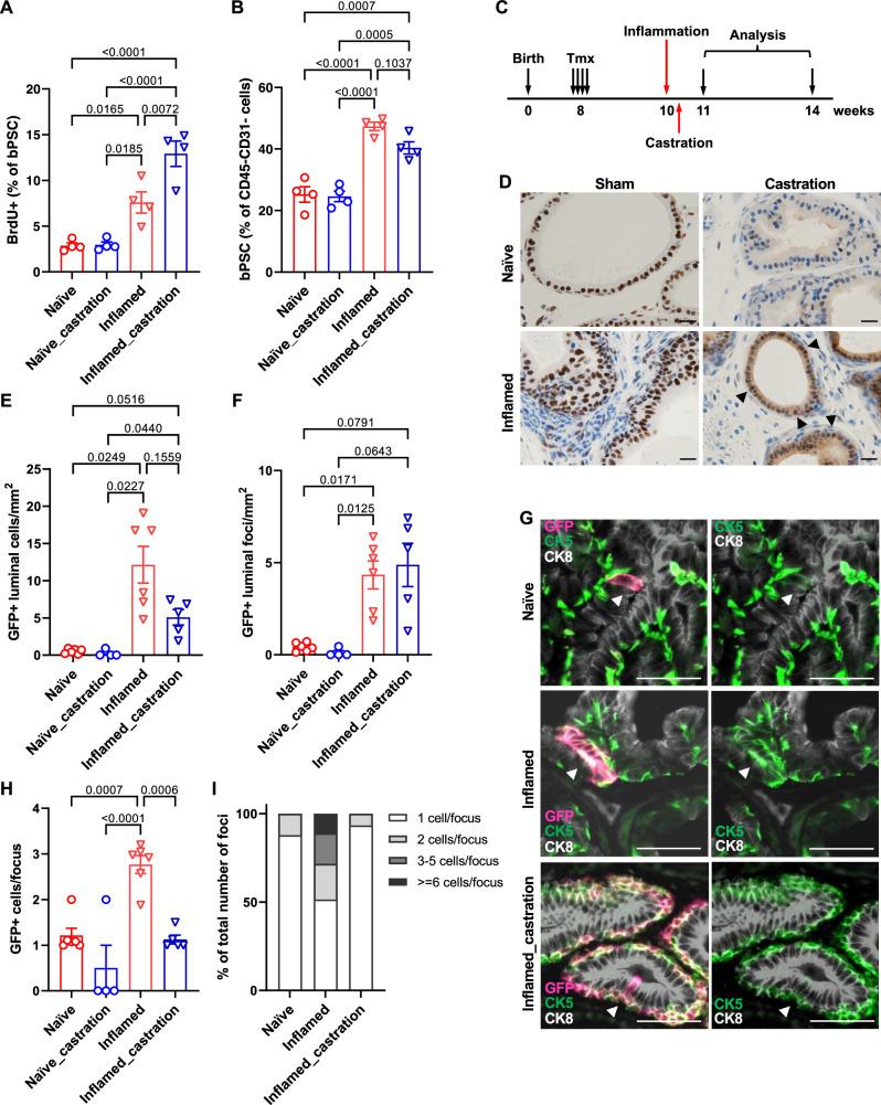 https://cdn.ncbi.nlm.nih.gov/pmc/blobs/38d7/11511867/9015dd2fcbb9/42003_2024_7071_Fig6_HTML.jpg