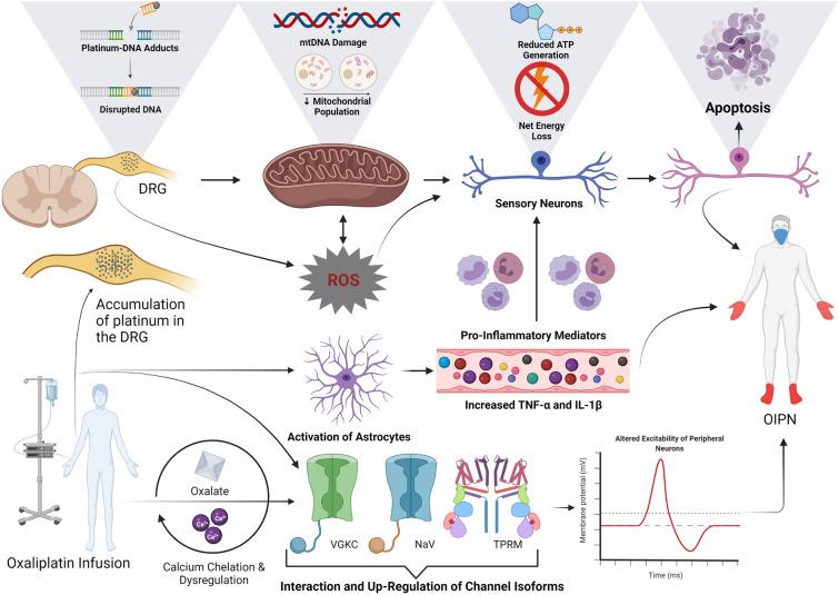 https://cdn.ncbi.nlm.nih.gov/pmc/blobs/38d7/8593126/2f5cb2ec2d88/40487_2021_168_Fig1_HTML.jpg