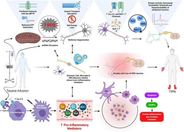 https://cdn.ncbi.nlm.nih.gov/pmc/blobs/38d7/8593126/6508901125ee/40487_2021_168_Fig2_HTML.jpg