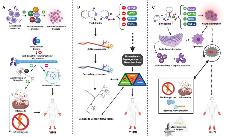 https://cdn.ncbi.nlm.nih.gov/pmc/blobs/38d7/8593126/9fe15534c3b8/40487_2021_168_Fig3_HTML.jpg