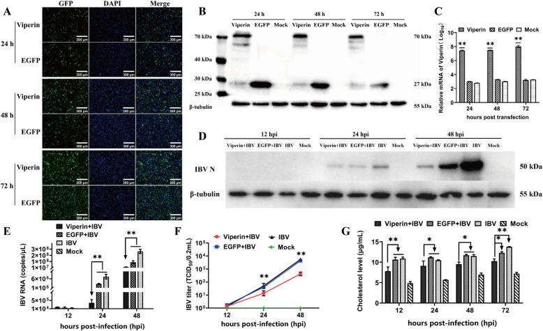 https://cdn.ncbi.nlm.nih.gov/pmc/blobs/38d8/11429478/547642d7d1bc/13567_2024_1368_Fig5_HTML.jpg